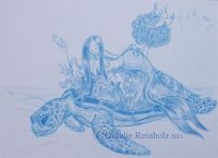 Turtle island